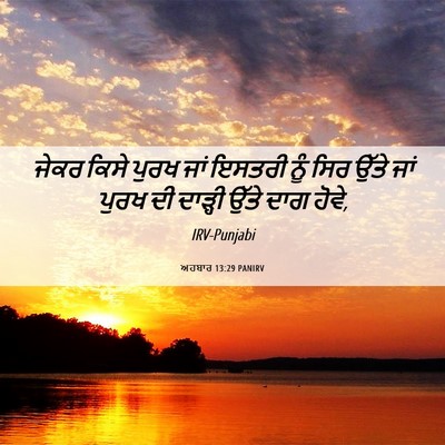 Picture 06 - ਅਹਬਾਰ 13:29 PANIRV - ਜੇਕਰ ਕਿਸੇ ਪੁਰਖ ਜਾਂ - Bible Verse Picture
