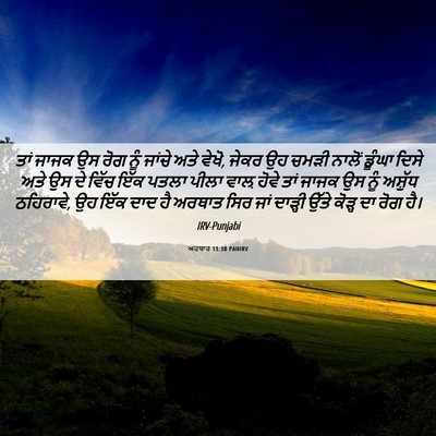 Picture 06 - ਅਹਬਾਰ 13:30 PANIRV - ਤਾਂ ਜਾਜਕ ਉਸ ਰੋਗ ਨੂੰ - Bible Verse Picture