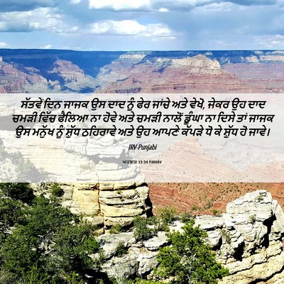 Picture 06 - ਅਹਬਾਰ 13:34 PANIRV - ਸੱਤਵੇਂ ਦਿਨ ਜਾਜਕ ਉਸ - Bible Verse Picture