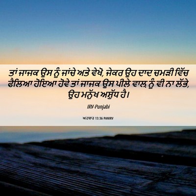 Picture 06 - ਅਹਬਾਰ 13:36 PANIRV - ਤਾਂ ਜਾਜਕ ਉਸ ਨੂੰ - Bible Verse Picture