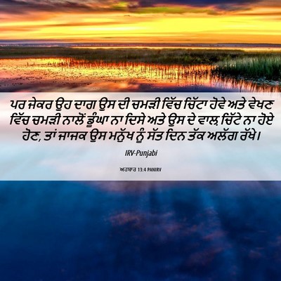 Picture 06 - ਅਹਬਾਰ 13:4 PANIRV - ਪਰ ਜੇਕਰ ਉਹ ਦਾਗ ਉਸ - Bible Verse Picture