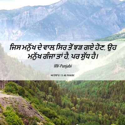 Picture 06 - ਅਹਬਾਰ 13:40 PANIRV - ਜਿਸ ਮਨੁੱਖ ਦੇ ਵਾਲ਼ - Bible Verse Picture
