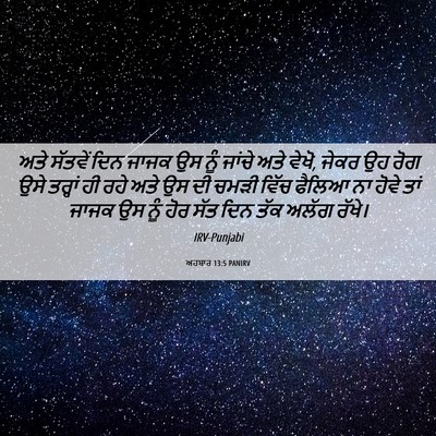 Picture 06 - ਅਹਬਾਰ 13:5 PANIRV - ਅਤੇ ਸੱਤਵੇਂ ਦਿਨ - Bible Verse Picture