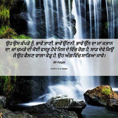 Picture 06 - ਅਹਬਾਰ 13:52 PANIRV - ਉਹ ਉਸ ਕੱਪੜੇ ਨੂੰ, - Bible Verse Picture