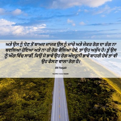 Picture 06 - ਅਹਬਾਰ 13:55 PANIRV - ਅਤੇ ਉਸ ਨੂੰ ਧੋਣ ਤੋਂ - Bible Verse Picture