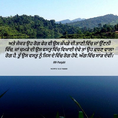 Picture 06 - ਅਹਬਾਰ 13:57 PANIRV - ਅਤੇ ਜੇਕਰ ਉਹ ਰੋਗ ਫੇਰ - Bible Verse Picture