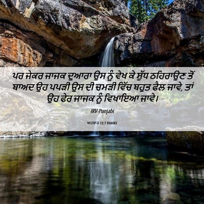 Picture 06 - ਅਹਬਾਰ 13:7 PANIRV - ਪਰ ਜੇਕਰ ਜਾਜਕ ਦੁਆਰਾ - Bible Verse Picture