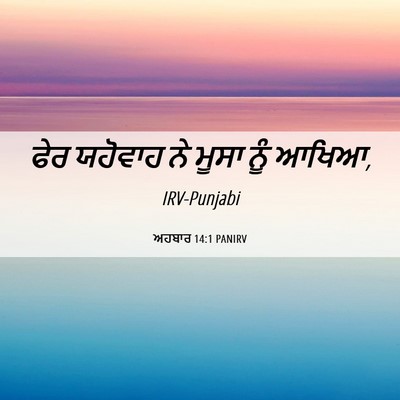 Picture 06 - ਅਹਬਾਰ 14:1 PANIRV - ਫੇਰ ਯਹੋਵਾਹ ਨੇ ਮੂਸਾ - Bible Verse Picture