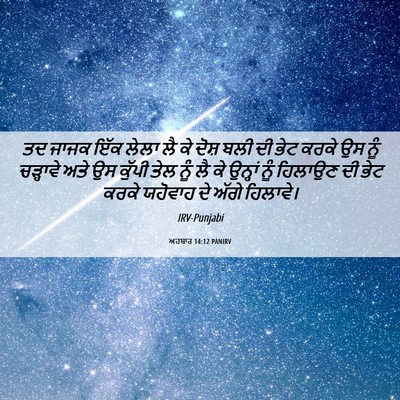 Picture 06 - ਅਹਬਾਰ 14:12 PANIRV - ਤਦ ਜਾਜਕ ਇੱਕ ਲੇਲਾ ਲੈ - Bible Verse Picture