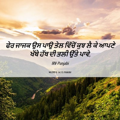 Picture 06 - ਅਹਬਾਰ 14:15 PANIRV - ਫੇਰ ਜਾਜਕ ਉਸ ਪਾਉ ਤੇਲ - Bible Verse Picture