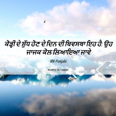 Picture 06 - ਅਹਬਾਰ 14:2 PANIRV - ਕੋੜ੍ਹੀ ਦੇ ਸ਼ੁੱਧ - Bible Verse Picture