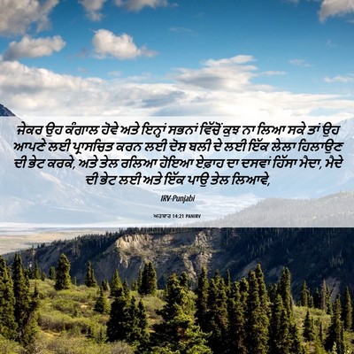 Picture 06 - ਅਹਬਾਰ 14:21 PANIRV - ਜੇਕਰ ਉਹ ਕੰਗਾਲ ਹੋਵੇ - Bible Verse Picture