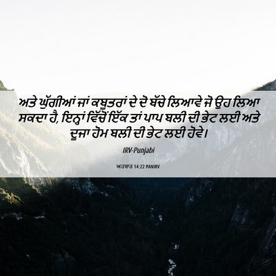 Picture 06 - ਅਹਬਾਰ 14:22 PANIRV - ਅਤੇ ਘੁੱਗੀਆਂ ਜਾਂ - Bible Verse Picture