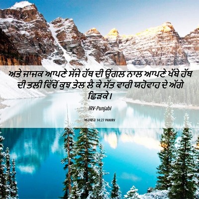 Picture 06 - ਅਹਬਾਰ 14:27 PANIRV - ਅਤੇ ਜਾਜਕ ਆਪਣੇ ਸੱਜੇ - Bible Verse Picture