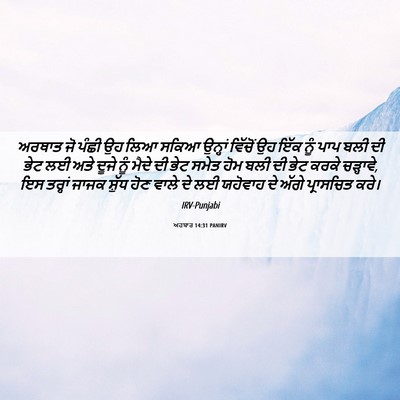 Picture 06 - ਅਹਬਾਰ 14:31 PANIRV - ਅਰਥਾਤ ਜੋ ਪੰਛੀ ਉਹ - Bible Verse Picture