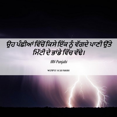 Picture 06 - ਅਹਬਾਰ 14:50 PANIRV - ਉਹ ਪੰਛੀਆਂ ਵਿੱਚੋਂ - Bible Verse Picture