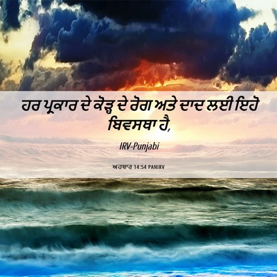 Picture 06 - ਅਹਬਾਰ 14:54 PANIRV - ਹਰ ਪ੍ਰਕਾਰ ਦੇ ਕੋੜ੍ਹ - Bible Verse Picture