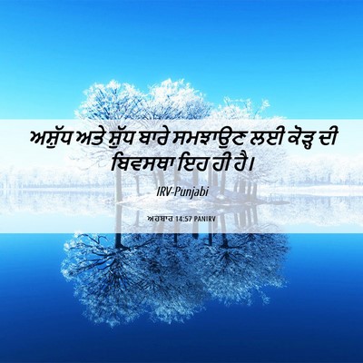 Picture 06 - ਅਹਬਾਰ 14:57 PANIRV - ਅਸ਼ੁੱਧ ਅਤੇ ਸ਼ੁੱਧ - Bible Verse Picture