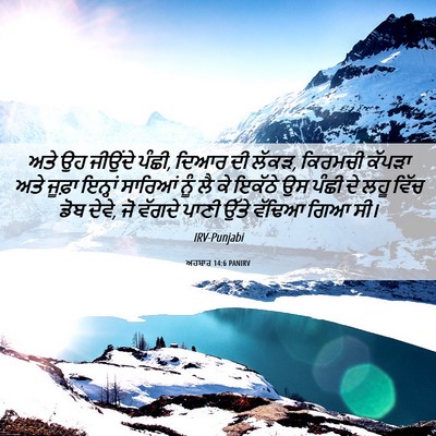 Picture 06 - ਅਹਬਾਰ 14:6 PANIRV - ਅਤੇ ਉਹ ਜੀਉਂਦੇ ਪੰਛੀ, - Bible Verse Picture