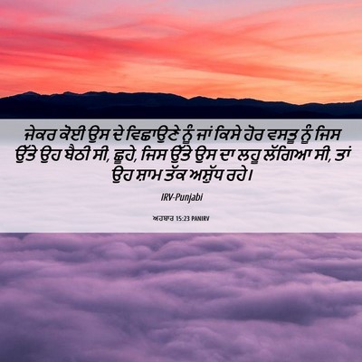 Picture 06 - ਅਹਬਾਰ 15:23 PANIRV - ਜੇਕਰ ਕੋਈ ਉਸ ਦੇ - Bible Verse Picture
