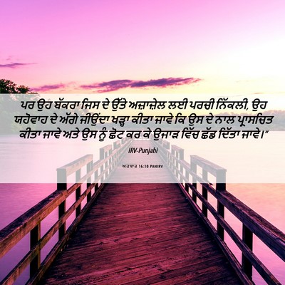 Picture 06 - ਅਹਬਾਰ 16:10 PANIRV - ਪਰ ਉਹ ਬੱਕਰਾ ਜਿਸ ਦੇ - Bible Verse Picture