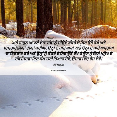 Picture 06 - ਅਹਬਾਰ 16:21 PANIRV - ਅਤੇ ਹਾਰੂਨ ਆਪਣੇ - Bible Verse Picture