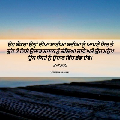 Picture 06 - ਅਹਬਾਰ 16:22 PANIRV - ਉਹ ਬੱਕਰਾ ਉਨ੍ਹਾਂ - Bible Verse Picture