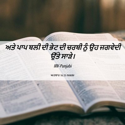 Picture 06 - ਅਹਬਾਰ 16:25 PANIRV - ਅਤੇ ਪਾਪ ਬਲੀ ਦੀ ਭੇਟ - Bible Verse Picture