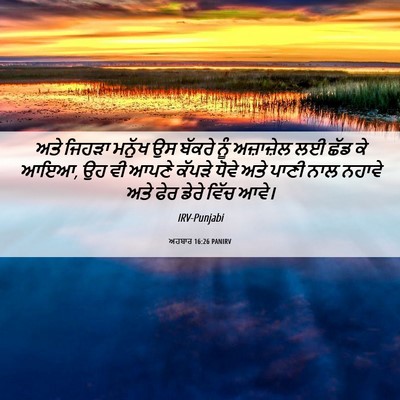 Picture 06 - ਅਹਬਾਰ 16:26 PANIRV - ਅਤੇ ਜਿਹੜਾ ਮਨੁੱਖ ਉਸ - Bible Verse Picture