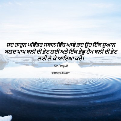 Picture 06 - ਅਹਬਾਰ 16:3 PANIRV - ਜਦ ਹਾਰੂਨ ਪਵਿੱਤਰ - Bible Verse Picture