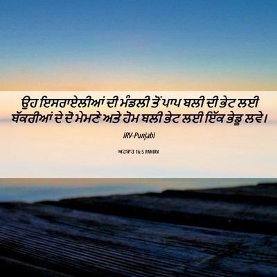 Picture 06 - ਅਹਬਾਰ 16:5 PANIRV - ਉਹ ਇਸਰਾਏਲੀਆਂ ਦੀ - Bible Verse Picture