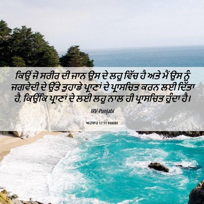 Picture 06 - ਅਹਬਾਰ 17:11 PANIRV - ਕਿਉਂ ਜੋ ਸਰੀਰ ਦੀ ਜਾਨ - Bible Verse Picture