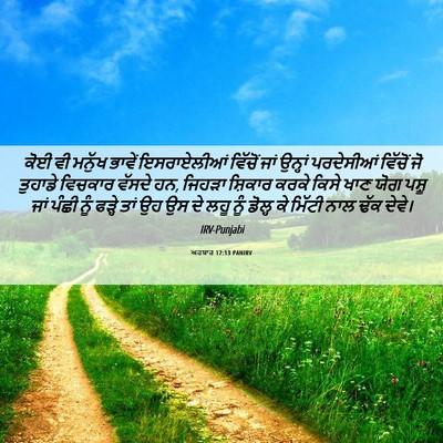 Picture 06 - ਅਹਬਾਰ 17:13 PANIRV - ਕੋਈ ਵੀ ਮਨੁੱਖ ਭਾਵੇਂ - Bible Verse Picture