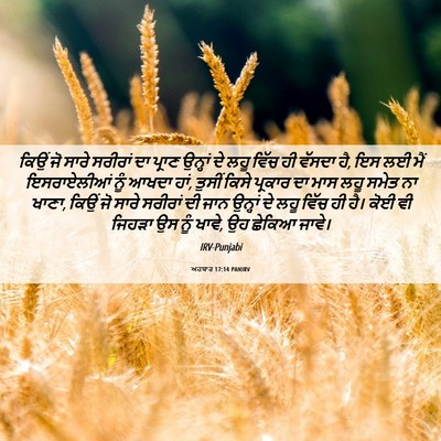 Picture 06 - ਅਹਬਾਰ 17:14 PANIRV - ਕਿਉਂ ਜੋ ਸਾਰੇ - Bible Verse Picture