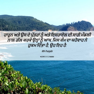 Picture 06 - ਅਹਬਾਰ 17:2 PANIRV - ਹਾਰੂਨ ਅਤੇ ਉਸ ਦੇ - Bible Verse Picture