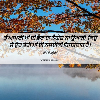 Picture 06 - ਅਹਬਾਰ 18:13 PANIRV - ਤੂੰ ਆਪਣੀ ਮਾਂ ਦੀ ਭੈਣ - Bible Verse Picture