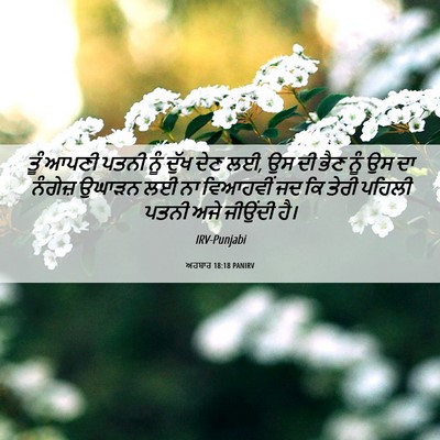 Picture 06 - ਅਹਬਾਰ 18:18 PANIRV - ਤੂੰ ਆਪਣੀ ਪਤਨੀ ਨੂੰ - Bible Verse Picture