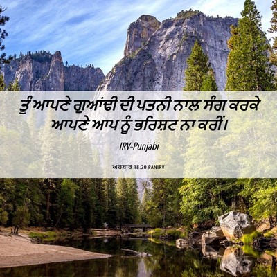 Picture 06 - ਅਹਬਾਰ 18:20 PANIRV - ਤੂੰ ਆਪਣੇ ਗੁਆਂਢੀ ਦੀ - Bible Verse Picture