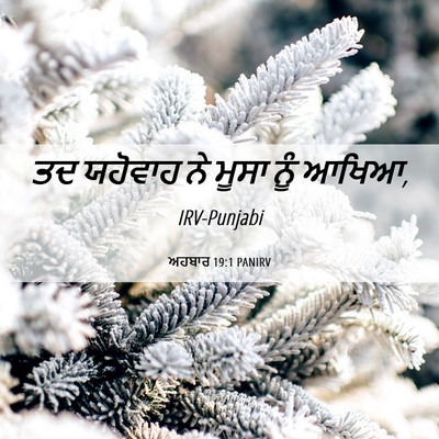 Picture 06 - ਅਹਬਾਰ 19:1 PANIRV - ਤਦ ਯਹੋਵਾਹ ਨੇ ਮੂਸਾ - Bible Verse Picture