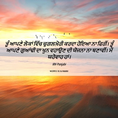 Picture 06 - ਅਹਬਾਰ 19:16 PANIRV - ਤੂੰ ਆਪਣੇ ਲੋਕਾਂ - Bible Verse Picture