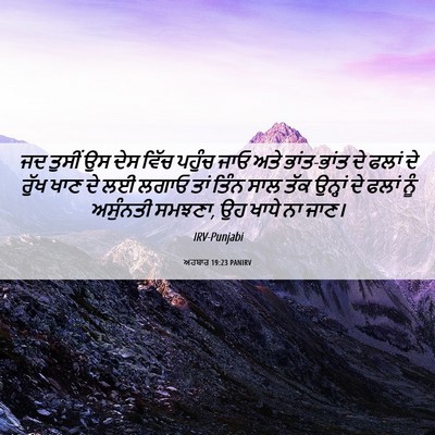 Picture 06 - ਅਹਬਾਰ 19:23 PANIRV - ਜਦ ਤੁਸੀਂ ਉਸ ਦੇਸ - Bible Verse Picture