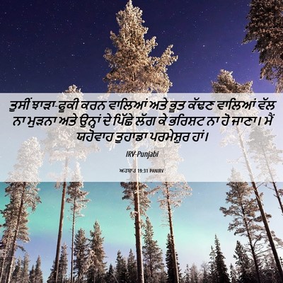 Picture 06 - ਅਹਬਾਰ 19:31 PANIRV - ਤੁਸੀਂ ਝਾੜਾ-ਫੂਕੀ - Bible Verse Picture
