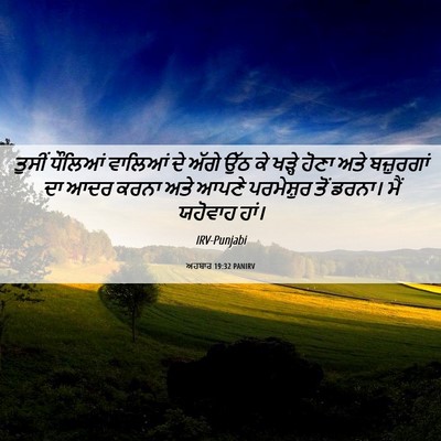Picture 06 - ਅਹਬਾਰ 19:32 PANIRV - ਤੁਸੀਂ ਧੌਲਿਆਂ - Bible Verse Picture