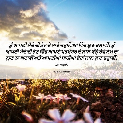 Picture 06 - ਅਹਬਾਰ 2:13 PANIRV - ਤੂੰ ਆਪਣੀ ਮੈਦੇ ਦੀ - Bible Verse Picture