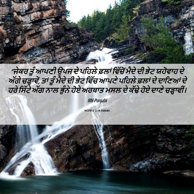 Picture 06 - ਅਹਬਾਰ 2:14 PANIRV - “ਜੇਕਰ ਤੂੰ ਆਪਣੀ ਉਪਜ - Bible Verse Picture