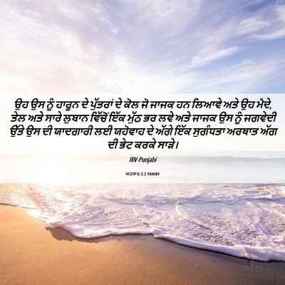 Picture 06 - ਅਹਬਾਰ 2:2 PANIRV - ਉਹ ਉਸ ਨੂੰ ਹਾਰੂਨ ਦੇ - Bible Verse Picture