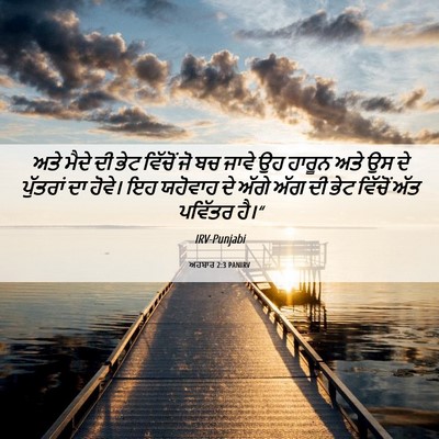Picture 06 - ਅਹਬਾਰ 2:3 PANIRV - ਅਤੇ ਮੈਦੇ ਦੀ ਭੇਟ - Bible Verse Picture