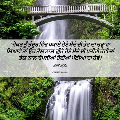 Picture 06 - ਅਹਬਾਰ 2:4 PANIRV - “ਜੇਕਰ ਤੂੰ ਤੰਦੂਰ - Bible Verse Picture