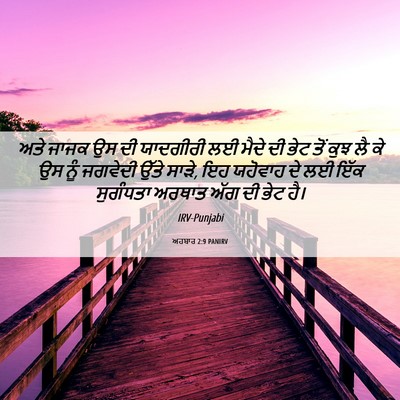 Picture 06 - ਅਹਬਾਰ 2:9 PANIRV - ਅਤੇ ਜਾਜਕ ਉਸ ਦੀ - Bible Verse Picture