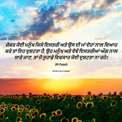 Picture 06 - ਅਹਬਾਰ 20:14 PANIRV - ਜੇਕਰ ਕੋਈ ਮਨੁੱਖ - Bible Verse Picture